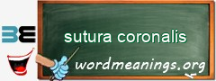 WordMeaning blackboard for sutura coronalis